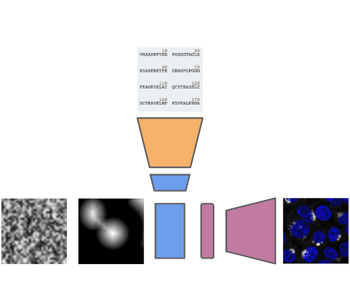 proteoscope
